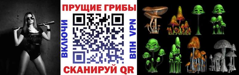Псилоцибиновые грибы MAGIC MUSHROOMS  Анжеро-Судженск 